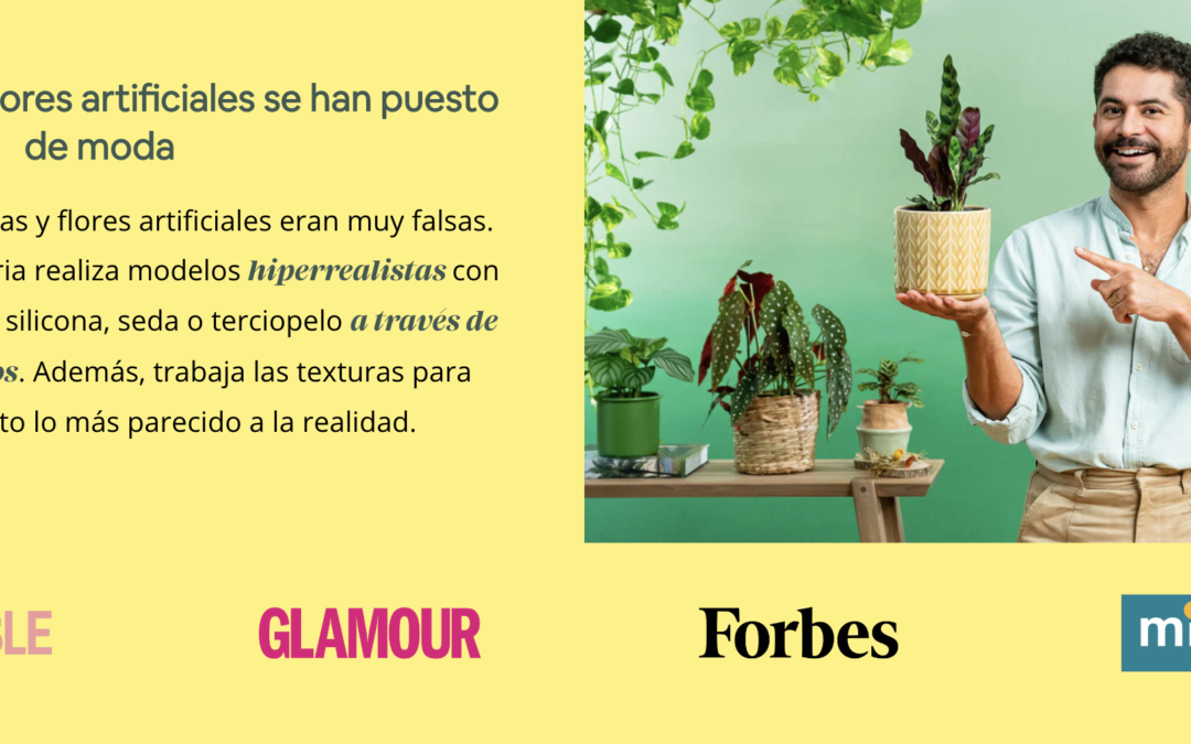 Blainebox.es, la startup española que está revolucionando la decoración floral sostenible
